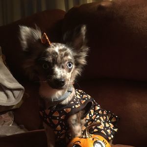 Meet your Posher, Nancy